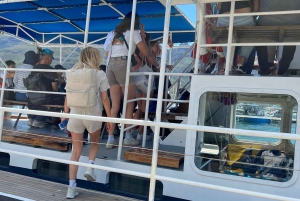 Cape of Good Hope and Penguins Full-Day Private Tour