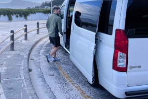 Cape of Good Hope and Penguins Full-Day Private Tour