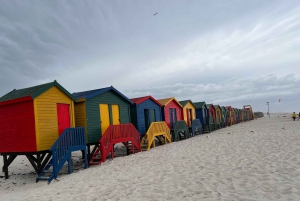 Cape of Good Hope and Penguins Full-Day Private Tour