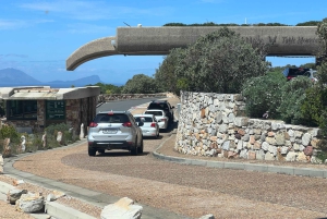 Cape of Good Hope and Penguins Full-Day Private Tour