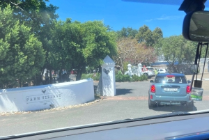 Cape of Good Hope and Penguins Full-Day Private Tour