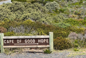 Cape of Good Hope and Penguins Full-Day Private Tour