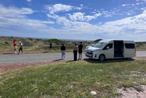 Cape of Good Hope and Penguins Full-Day Private Tour