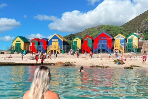 Cape of Good Hope and Penguins Full-Day Private Tour