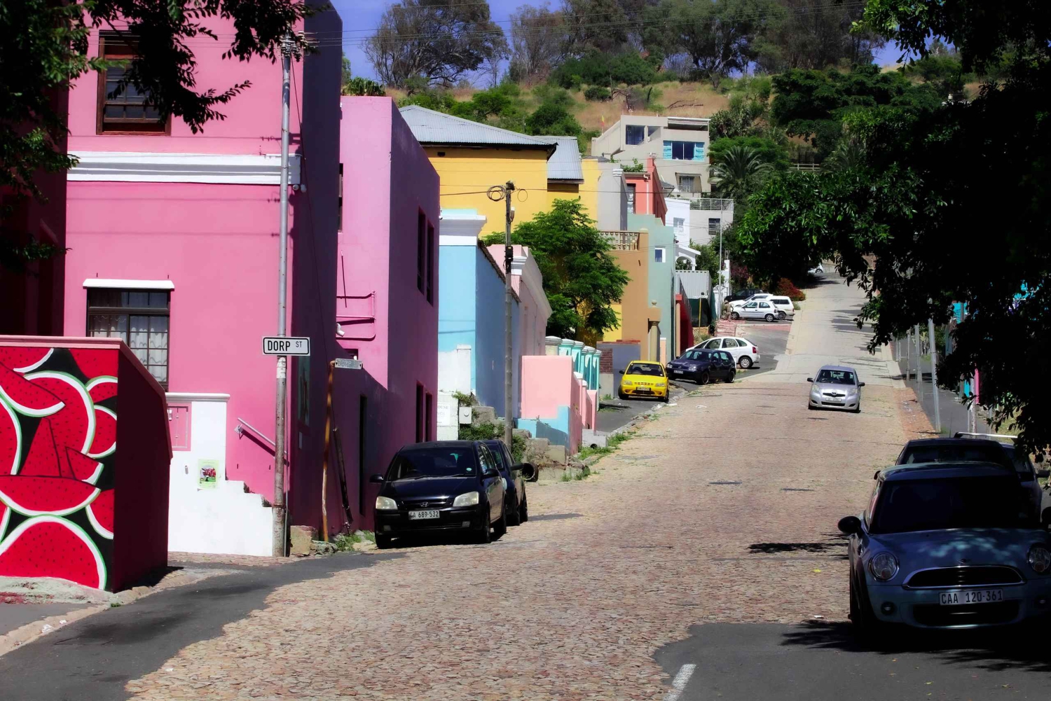 Capo di Buona Speranza e pinguini Tour di gruppo di un giorno intero