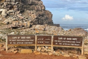Cape of good hope and penguins Group Tour Full day
