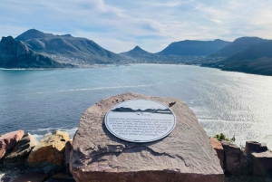 Cape of good hope and penguins Group Tour Full day