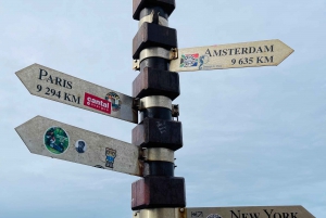 Cape of good hope and penguins Group Tour Full day