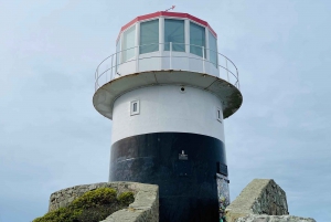 Cape of good hope and penguins Group Tour Full day