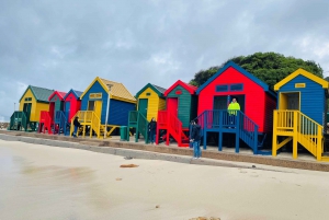 Cape of good hope and penguins Group Tour Full day