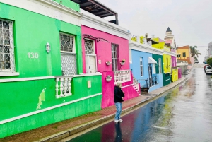 Cape of good hope and penguins Group Tour Full day