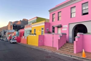 Cape of good hope and penguins Group Tour Full day