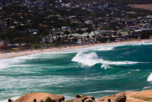 Cape of good hope and penguins Group Tour Full day