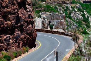 Cape of good hope and penguins Group Tour Full day