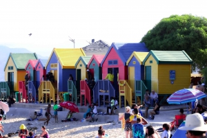 Cape of good hope and penguins Group Tour Full day