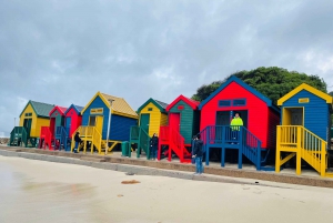 Cape of good hope and penguins Group Tour Full day