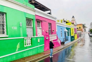 Capo di Buona Speranza e pinguini Tour di gruppo di un giorno intero