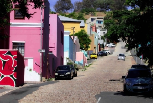 Capo di Buona Speranza e pinguini Tour di gruppo di un giorno intero