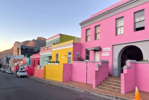 Capo di Buona Speranza e pinguini Tour di gruppo di un giorno intero