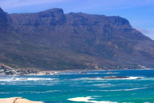 Capo di Buona Speranza e pinguini Tour di gruppo di un giorno intero