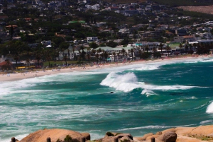 Capo di Buona Speranza e pinguini Tour di gruppo di un giorno intero