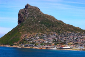 Capo di Buona Speranza e pinguini Tour di gruppo di un giorno intero