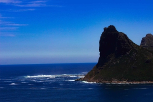 Capo di Buona Speranza e pinguini Tour di gruppo di un giorno intero