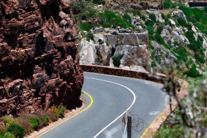 Capo di Buona Speranza e pinguini Tour di gruppo di un giorno intero
