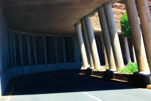 Capo di Buona Speranza e pinguini Tour di gruppo di un giorno intero