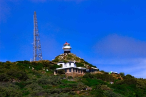 Capo di Buona Speranza e pinguini Tour di gruppo di un giorno intero