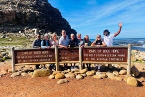 Visite privée du Cap de Bonne Espérance et des pingouins avec droits d'entrée