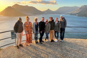 Cape of Good Hope ja pingviinit Yksityinen kierros sisäänpääsymaksuineen