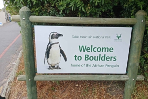Tour particular de um dia pelo Cabo da Boa Esperança e observação de pinguins