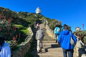 Cape Of Good Hope and Penguins viewing Private Day Tour