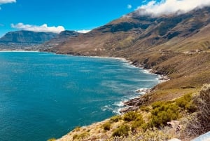 Cabo de Buena Esperanza, Chapman's Peak Drive, Pingüinos , Focas
