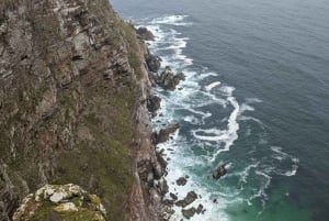 Cape of Good Hope, Chapman's Peak Drive, Pingviinit , Hylkeet, Hylkeet