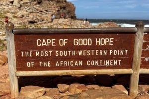 Kap der Guten Hoffnung, Chapman's Peak Drive, Pinguine, Robben