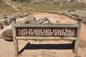 Cabo de Buena Esperanza, Chapman's Peak Drive, Pingüinos , Focas