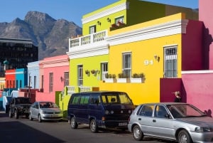 Cap de Bonne Espérance, Chapman's Peak Drive, Pingouins, Phoques