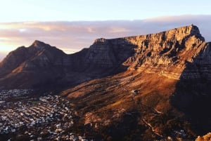 Fra Cape Town: Privat heldagstur til Kapp det gode håp
