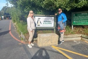 CABO DE BUENA ESPERANZA Y PINGÜINO,BOKAAP,FOCAS,MUIZENBERG,FULLLDAY