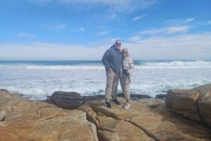 CABO DE BUENA ESPERANZA Y PINGÜINO,BOKAAP,FOCAS,MUIZENBERG,FULLLDAY