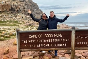 Cape Of Good Hope, Penguins, Chapmans Peak Drive, Seals Tour