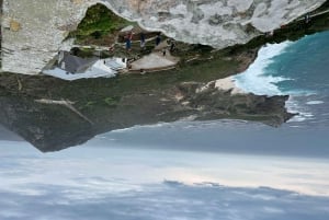 Cabo da Boa Esperança, pinguins, Chapmans Peak Drive, passeio com focas