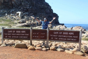 Kaap de Goede Hoop en privétour met pinguïns