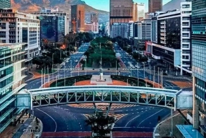 Kap Det Gode Håb og pingviner - privat tur