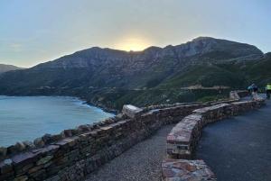 Kap Det Gode Håb og pingviner - privat tur