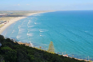 Kap Det Gode Håb og pingviner - privat tur