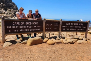Kap Det Gode Håb og pingviner - privat tur