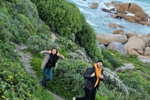 Kap Det Gode Håb og pingviner - privat tur